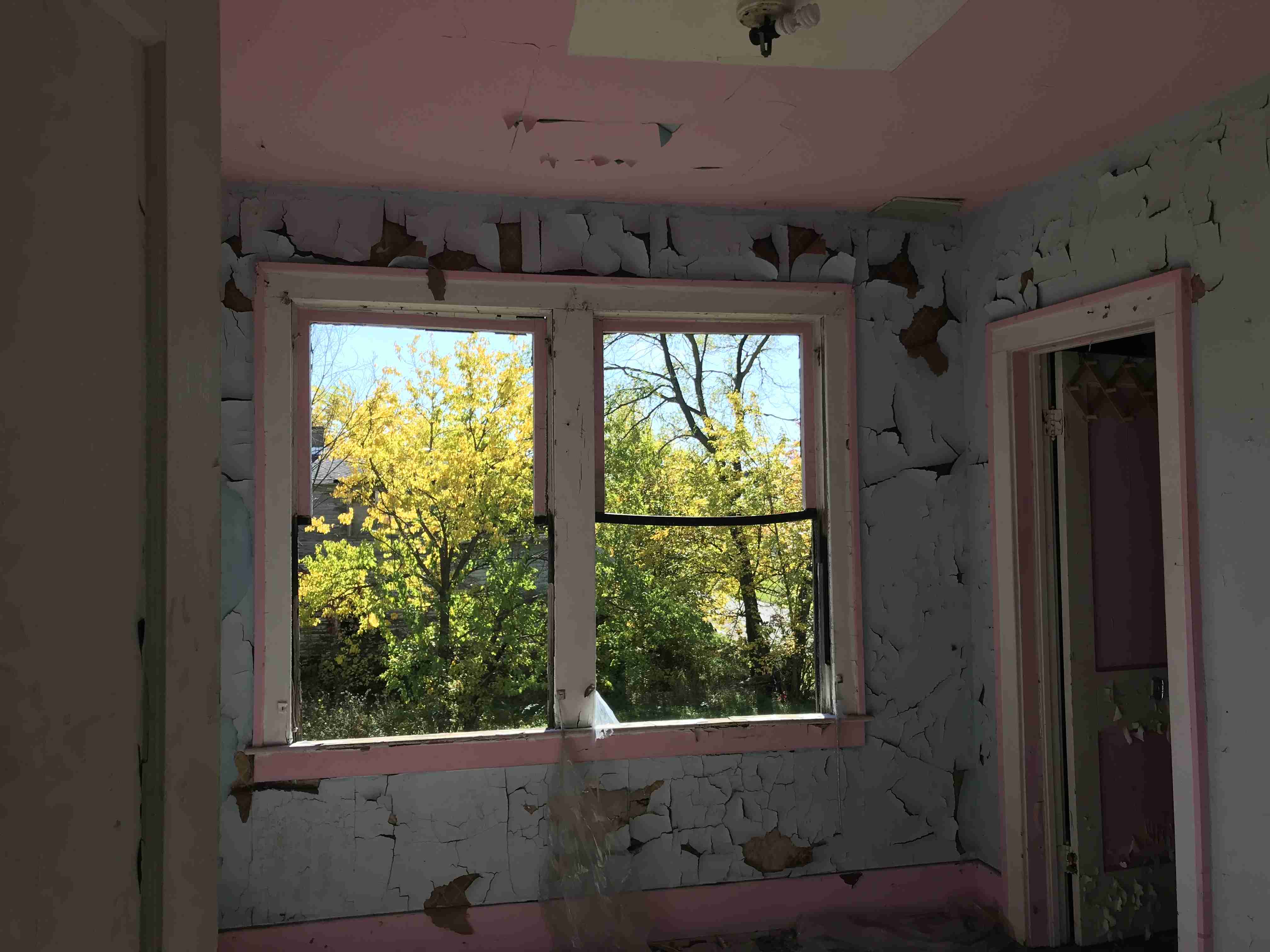 Photo Oct 13, 12 33 38 PM (1).jpg